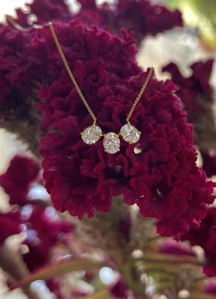 Petite Oval Necklace (With Chain)